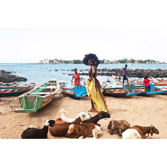 Daniele Tamagni, Ngor, La Renaissance Africaine, 2012,  DT001