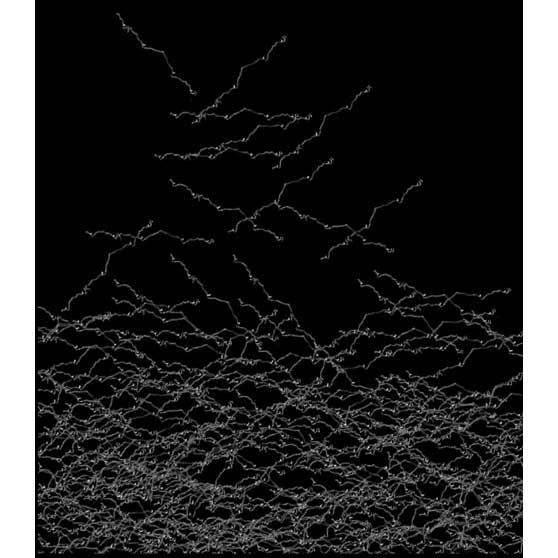 Golnaz Fathi, Dance Me to the End of Night, 2014,  GF034