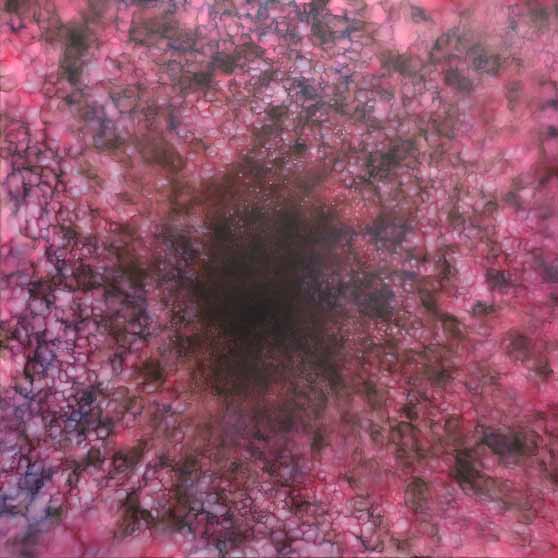 Govinda Sah 'Azad', Certainly not Love?, 2025 GS222