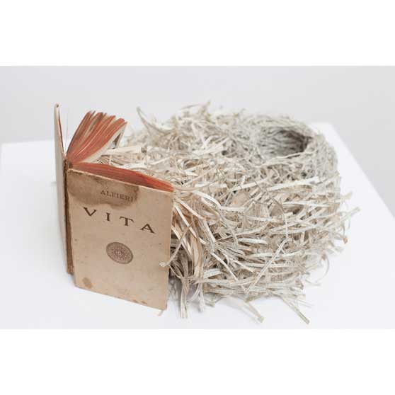 Jukhee Kwon, Vita, 2013,  JK011