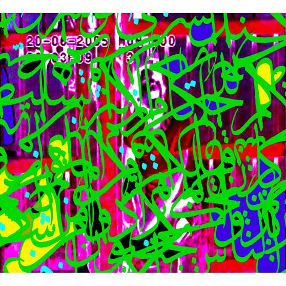 Laila Shawa, Trapped II, 2011,  LS101