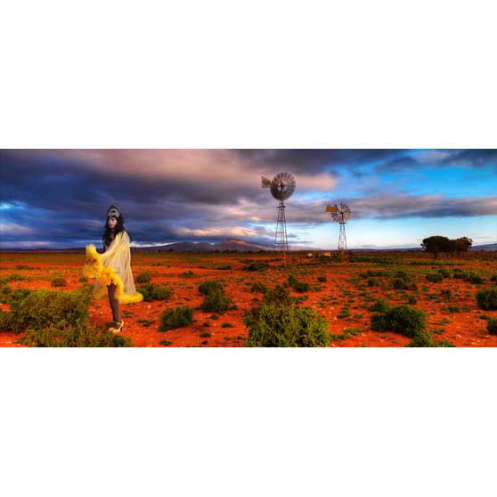Michael Cook, Australian Landscapes #7, Ed. 1/8, 2010 MC014