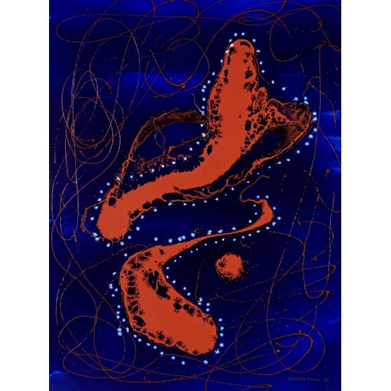 Samantha Hobson, Inside Reef, 2008 SMH_OG_002