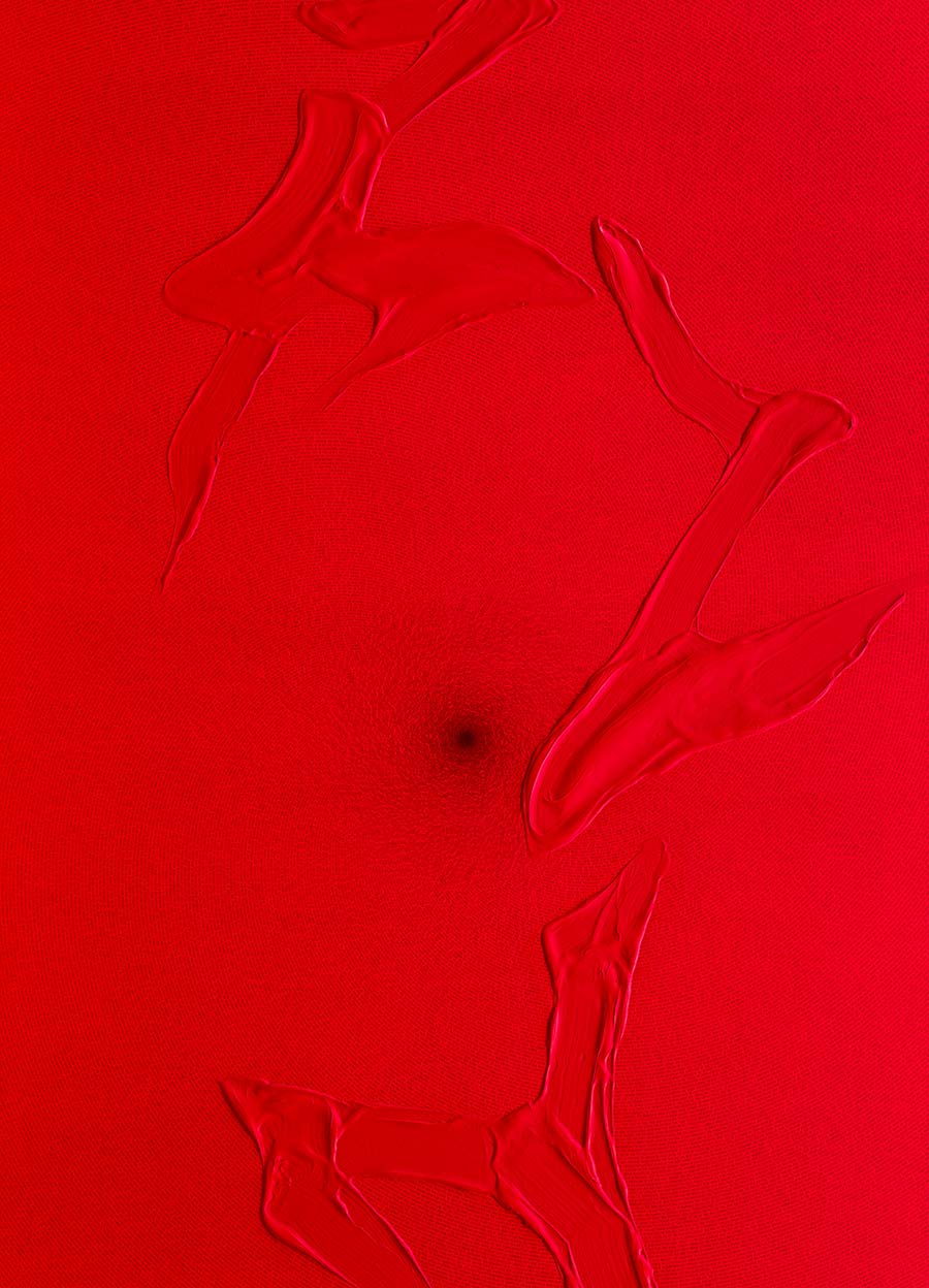Tian Wei, Red (detail), 2011. Acrylic on canvas, 298 x 177 cm. Tian Wei, Red (detail), 2011. Acrylic on canvas, 298 x 177 cm.
