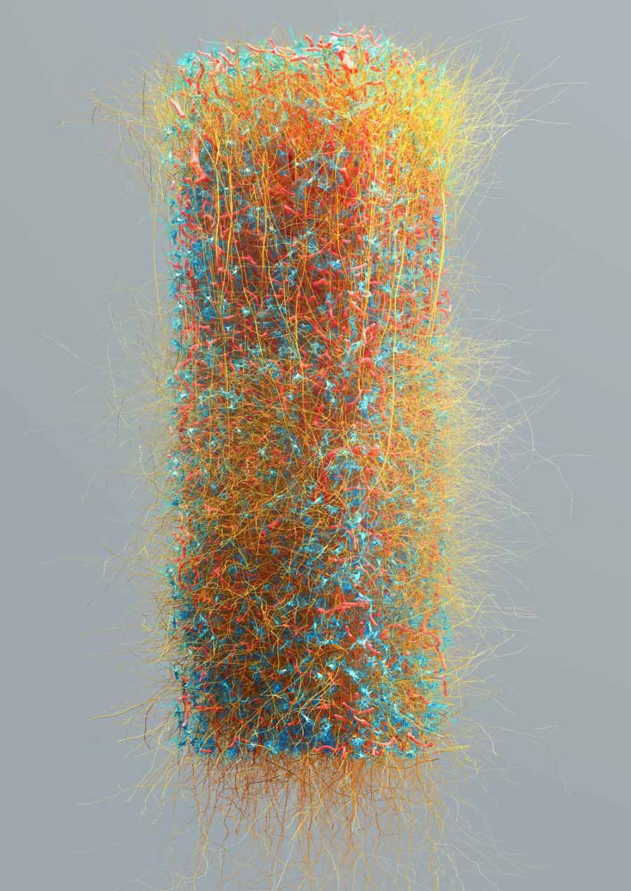 Blue Brain Project, Digital Vistas Illuminate the Complexity of the Mind - Neurons, Astrocytes and Blood Vessels. Science & algorithms - Eleftherios Zisis, visualisation research and design - Nicolas Antille. ©2005-2018 Blue Brain Project, EPFL All rights reserved. Blue Brain Project, Digital Vistas Illuminate the Complexity of the Mind - Neurons, Astrocytes and Blood Vessels. Science & algorithms - Eleftherios Zisis, visualisation research and design - Nicolas Antille. ©2005-2018 Blue Brain Project, EPFL All rights reserved.