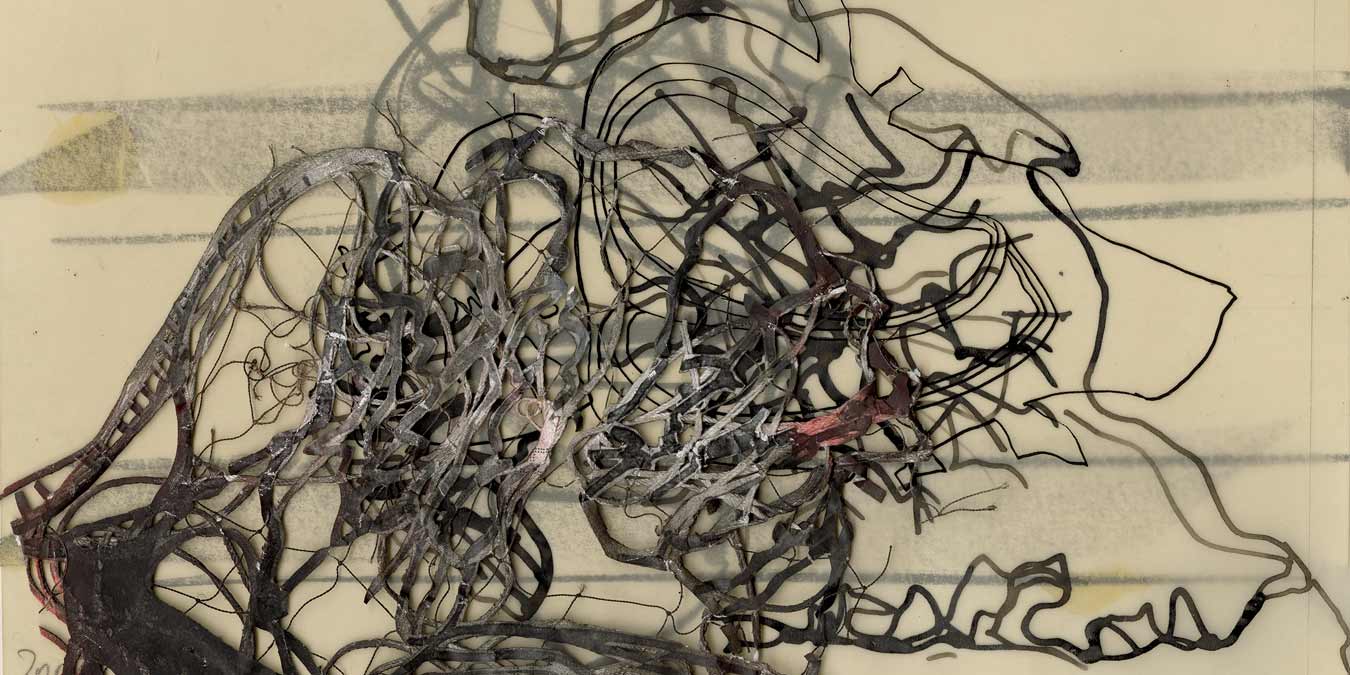 LINEAGES 29 January – 28 February, 2026.