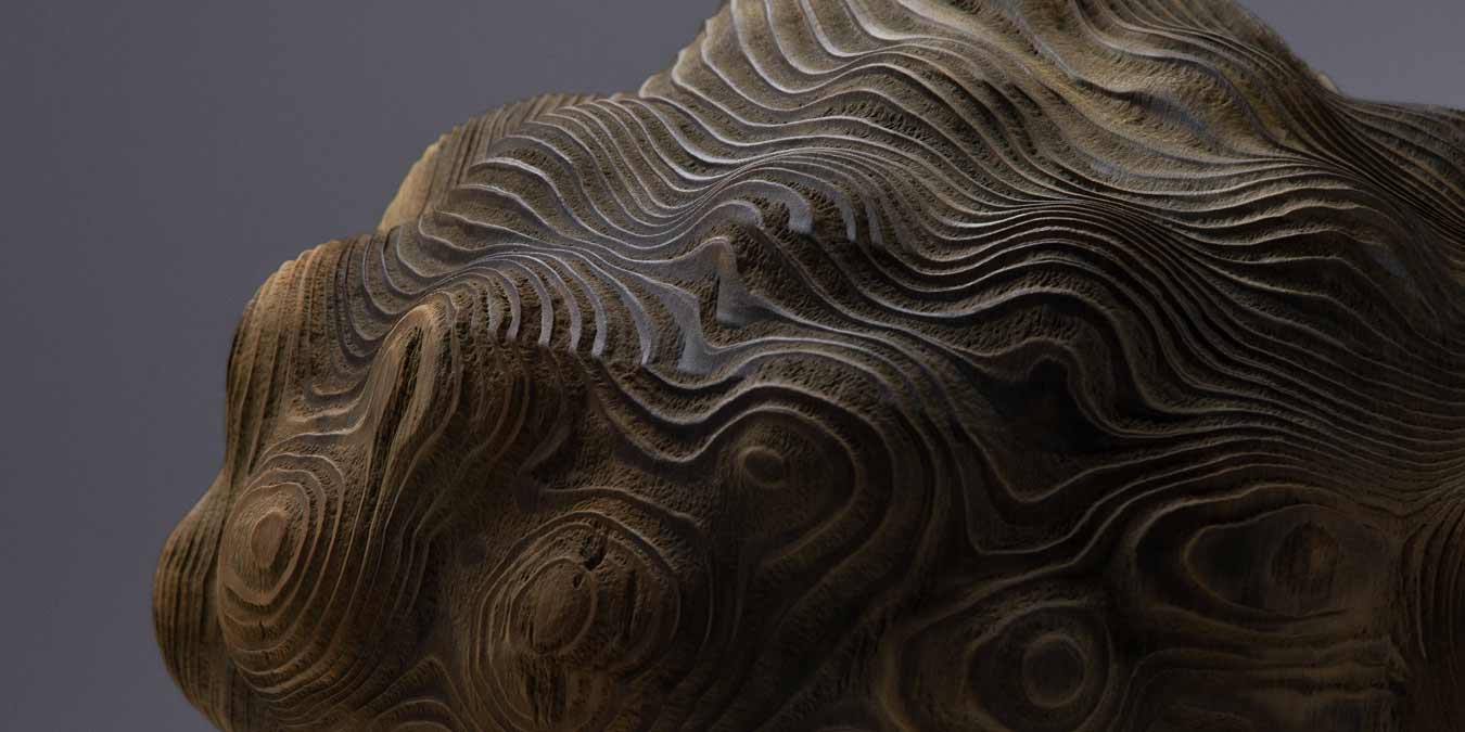 LINEAGES 29 January – 28 February, 2026.