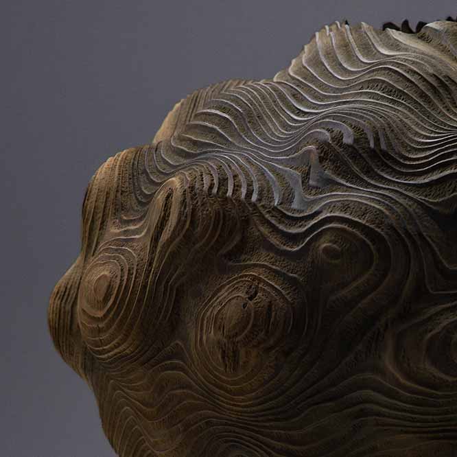 LINEAGES 29 January – 28 February, 2026.