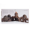 Gérard Quenum:  Dolls Never Die