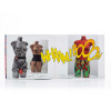 Laila Shawa: The Other Side of Paradise