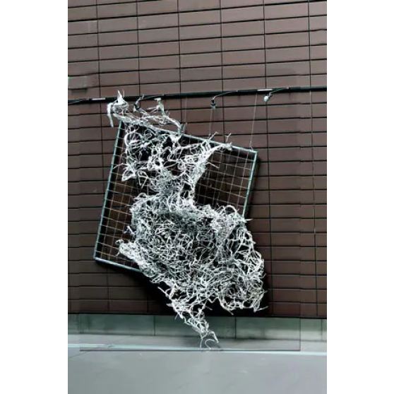 Susanne Kessler, Jerusalem root (silver), 2015, SUK17