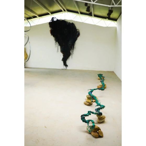 Susanne Kessler, The Amazon River Line, 2025, SUK21