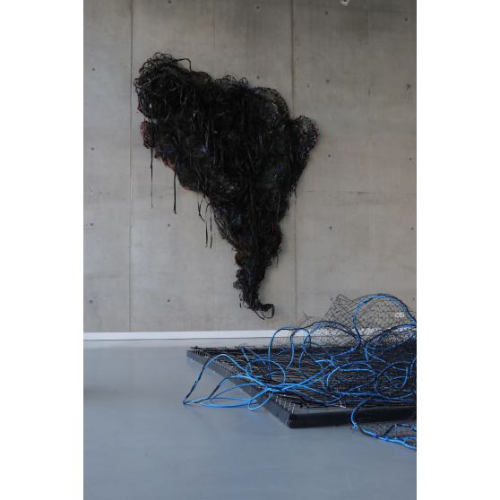 Susanne Kessler, Odissea (South America &amp;amp; The Errant Line), 2018, SUK22