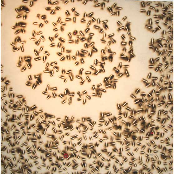 Sandile Zulu, Galaxy 5, 2005, SZ001