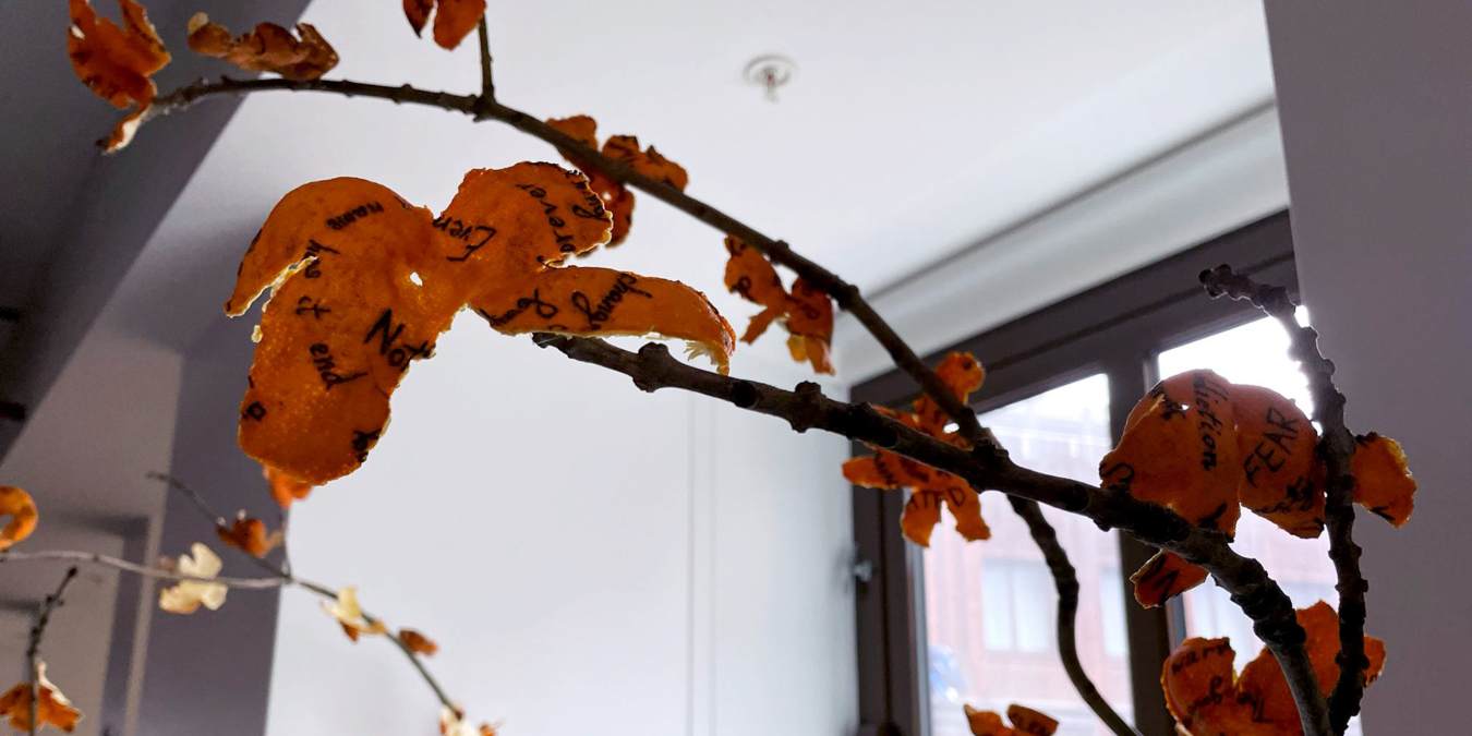 Bettina Fung | 馮允珊 Blossom (末日陳皮) 2025 – ongoing. Participatory installation Tattooed tangerine peels, found branches and clay, Dimensions variable.
