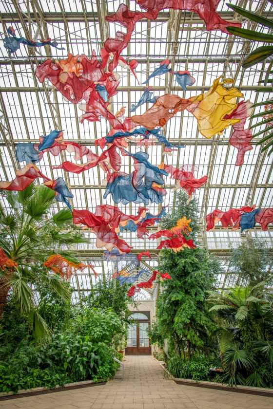 Photo by Ines Stuart-Davidson Ⓒ RBG Kew.